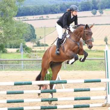 Kalantha unser neues Schleifenpony…..